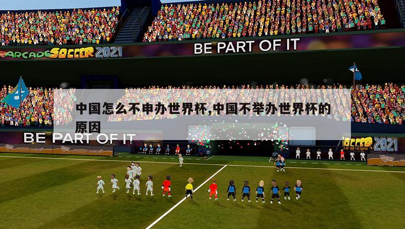 中国怎么不申办世界杯,中国不举办世界杯的原因